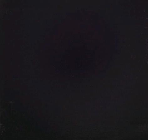 Бук. Цвет: Венге