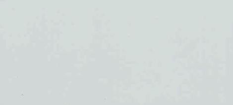 Бук. Цвет: серый