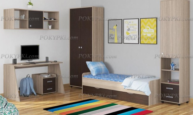 Шкаф для одежды Дельта 2