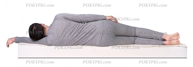 беспружинный матрас DreamRoll Eco беспружинный матрас DreamRoll Eco