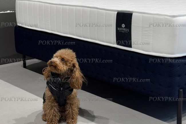 Матрас Materlux Sandin Multi Forte Матрас Materlux Sandin Multi Forte