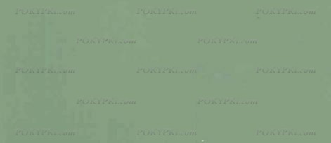 Бук. Цвет:Олива