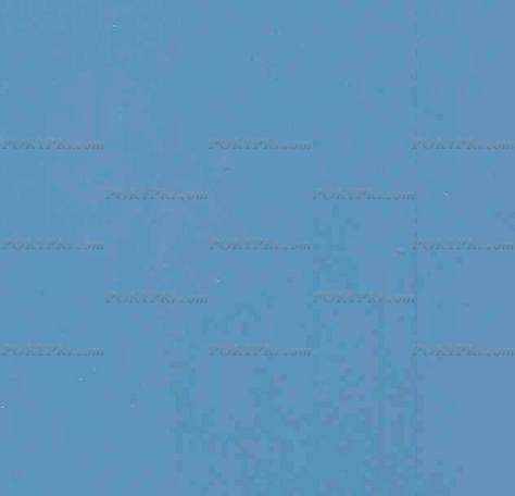 Бук. Цвет: Голубой